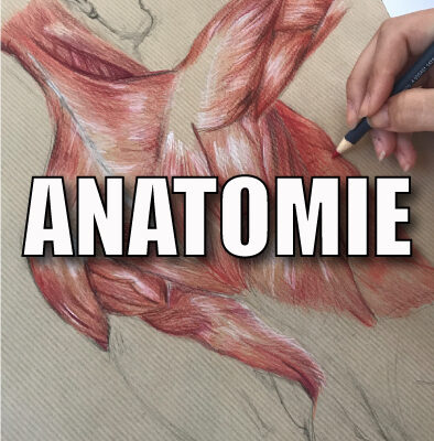 Dessiner le corps dans toutes ses formes